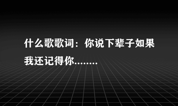 什么歌歌词：你说下辈子如果我还记得你........