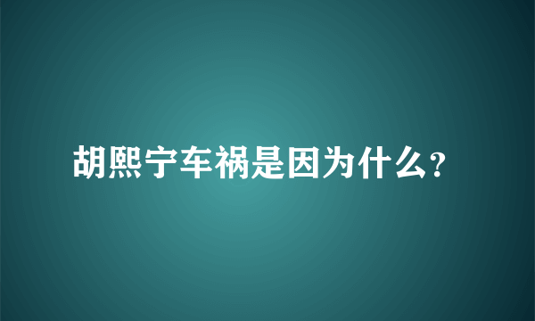 胡熙宁车祸是因为什么？