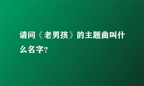 请问《老男孩》的主题曲叫什么名字？