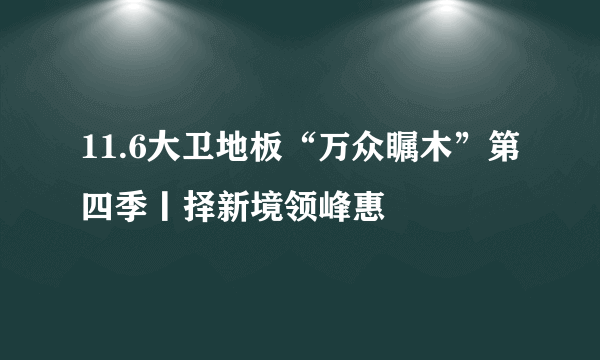 11.6大卫地板“万众瞩木”第四季丨择新境领峰惠