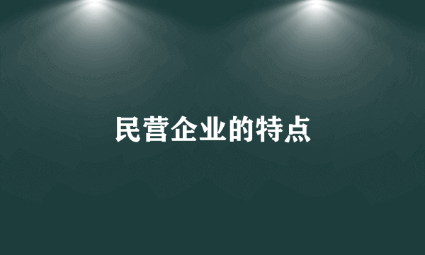 民营企业的特点