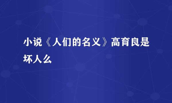 小说《人们的名义》高育良是坏人么