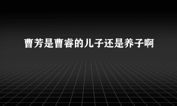 曹芳是曹睿的儿子还是养子啊