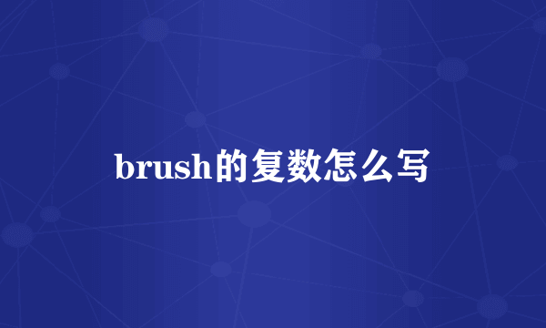 brush的复数怎么写