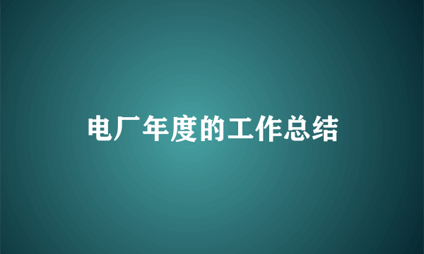 电厂年度的工作总结