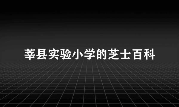 莘县实验小学的芝士百科