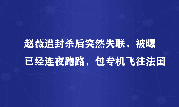 赵薇遭封杀后突然失联，被曝已经连夜跑路，包专机飞往法国