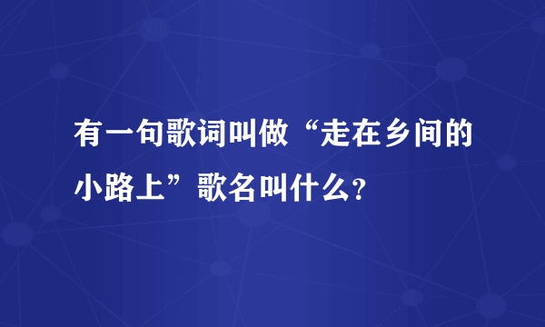 有一句歌词叫做“走在乡间的小路上”歌名叫什么？