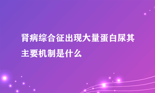 肾病综合征出现大量蛋白尿其主要机制是什么