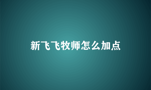 新飞飞牧师怎么加点