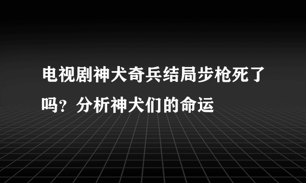 电视剧神犬奇兵结局步枪死了吗？分析神犬们的命运