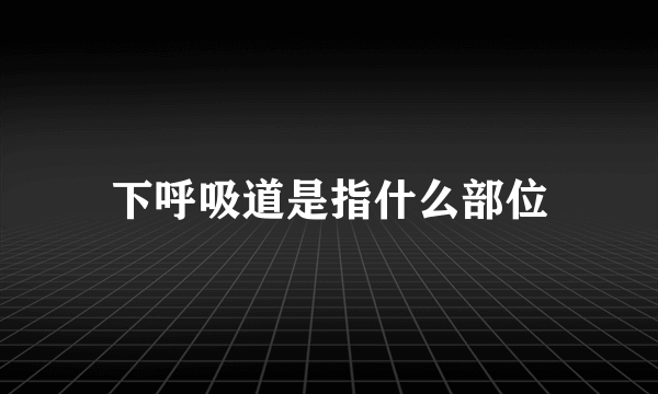 下呼吸道是指什么部位