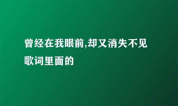 曾经在我眼前,却又消失不见  歌词里面的