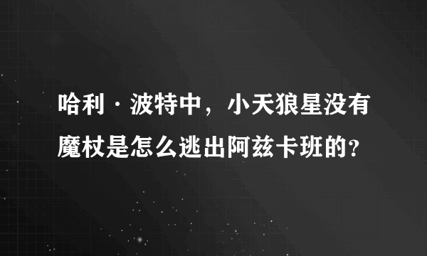 哈利·波特中，小天狼星没有魔杖是怎么逃出阿兹卡班的？