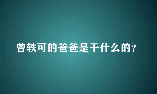 曾轶可的爸爸是干什么的？