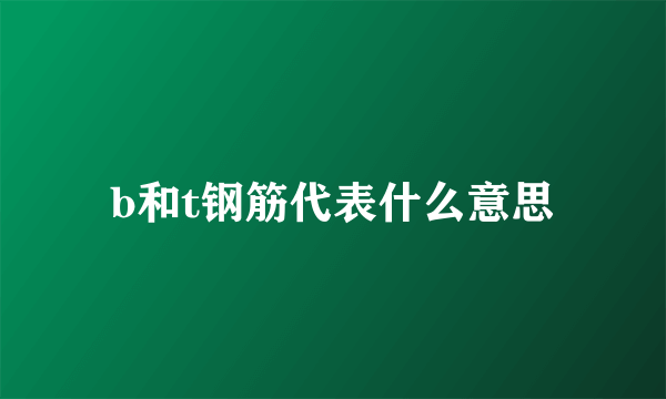 b和t钢筋代表什么意思