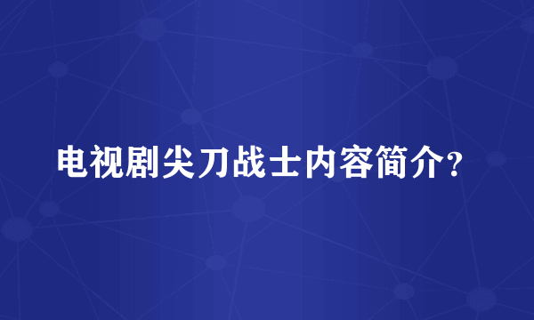 电视剧尖刀战士内容简介？