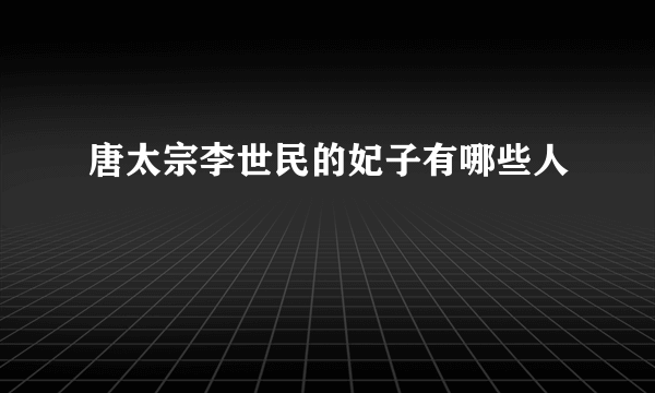 唐太宗李世民的妃子有哪些人