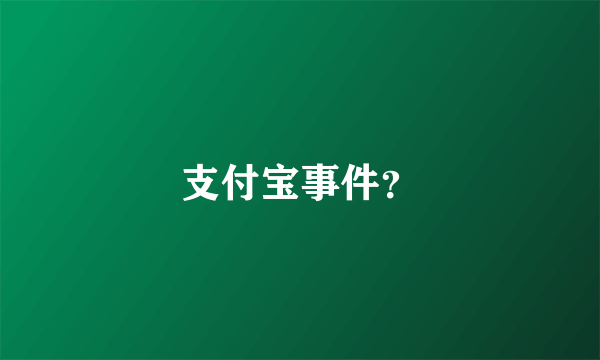 支付宝事件？