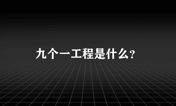 九个一工程是什么？