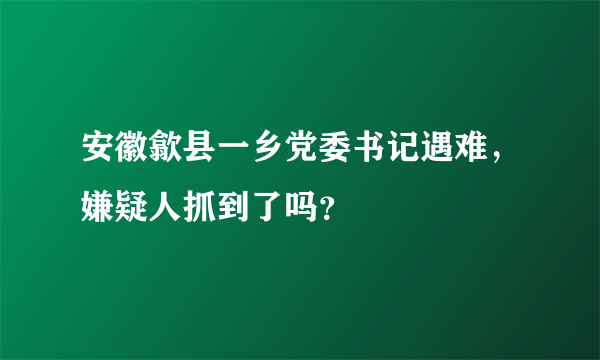 安徽歙县一乡党委书记遇难，嫌疑人抓到了吗？