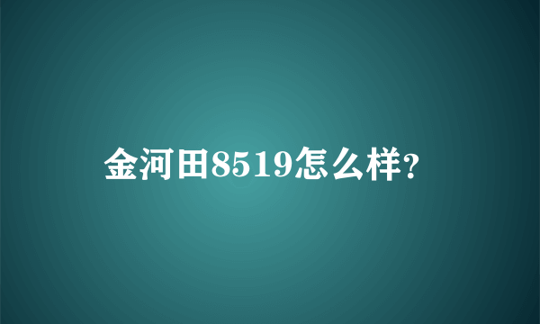 金河田8519怎么样？