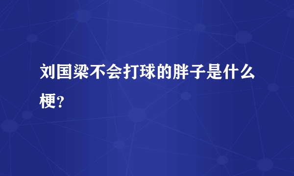 刘国梁不会打球的胖子是什么梗？