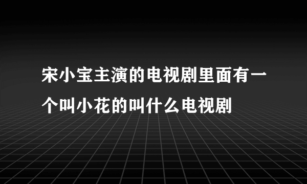 宋小宝主演的电视剧里面有一个叫小花的叫什么电视剧