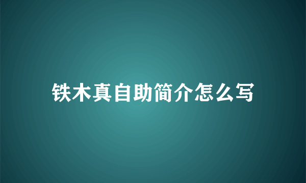 铁木真自助简介怎么写