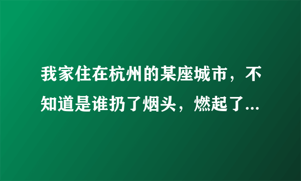 我家住在杭州的某座城市，不知道是谁扔了烟头，燃起了大火，把家里的东西烧的一干二尽，我该怎么办，这场杭州火灾让我一无所有，律师朋友起你们告诉我我该怎么办