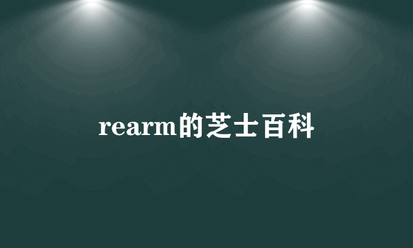 rearm的芝士百科