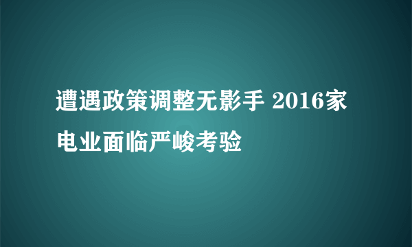 遭遇政策调整无影手 2016家电业面临严峻考验