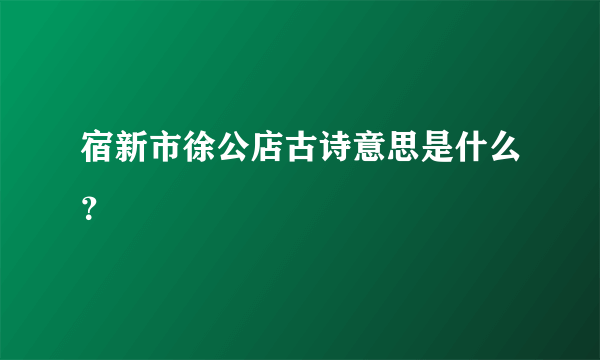 宿新市徐公店古诗意思是什么？