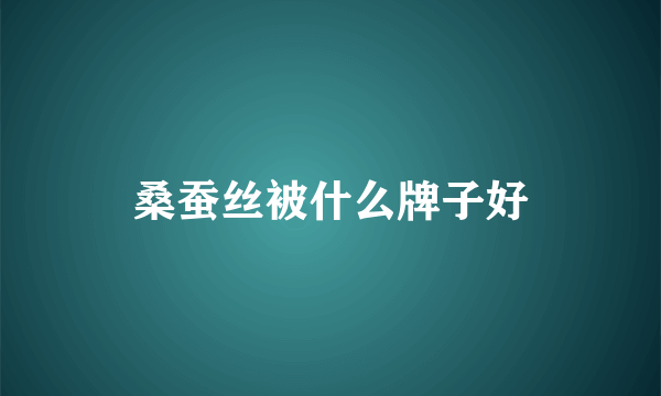 桑蚕丝被什么牌子好