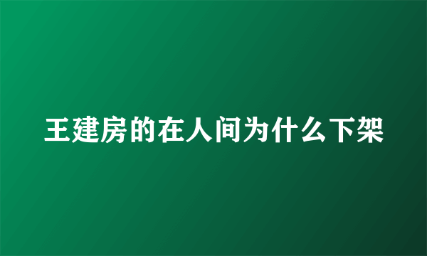 王建房的在人间为什么下架