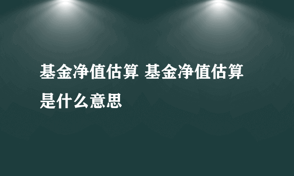 基金净值估算 基金净值估算是什么意思