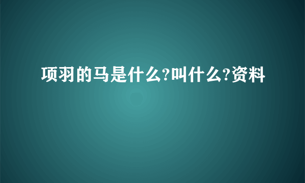 项羽的马是什么?叫什么?资料