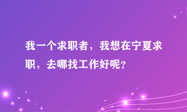 我一个求职者，我想在宁夏求职，去哪找工作好呢？