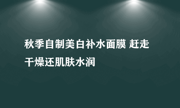 秋季自制美白补水面膜 赶走干燥还肌肤水润