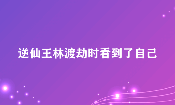 逆仙王林渡劫时看到了自己