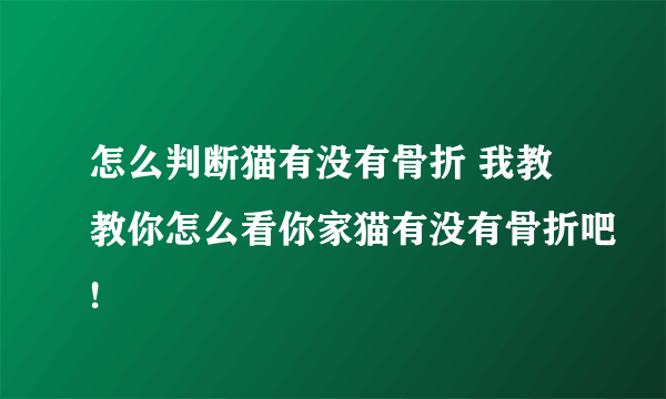 怎么判断猫有没有骨折 我教教你怎么看你家猫有没有骨折吧!