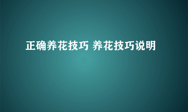 正确养花技巧 养花技巧说明