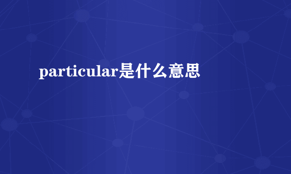 particular是什么意思