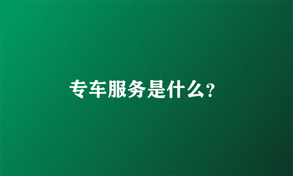 专车服务是什么？