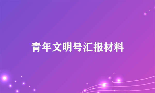 青年文明号汇报材料