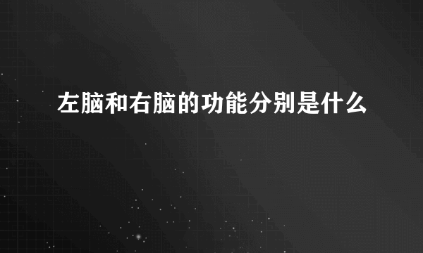 左脑和右脑的功能分别是什么