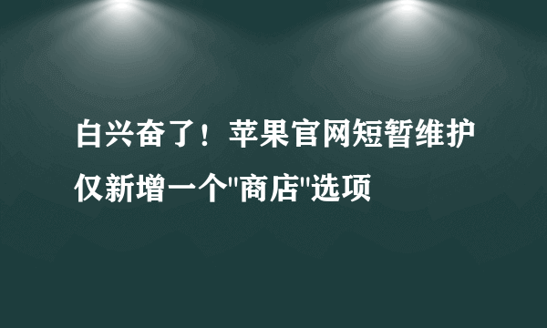 白兴奋了！苹果官网短暂维护仅新增一个