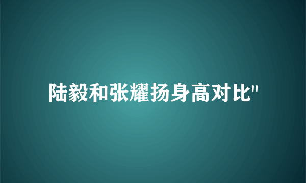 陆毅和张耀扬身高对比