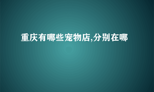 重庆有哪些宠物店,分别在哪