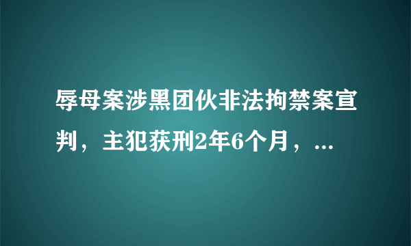 辱母案涉黑团伙非法拘禁案宣判，主犯获刑2年6个月，你们怎么看？